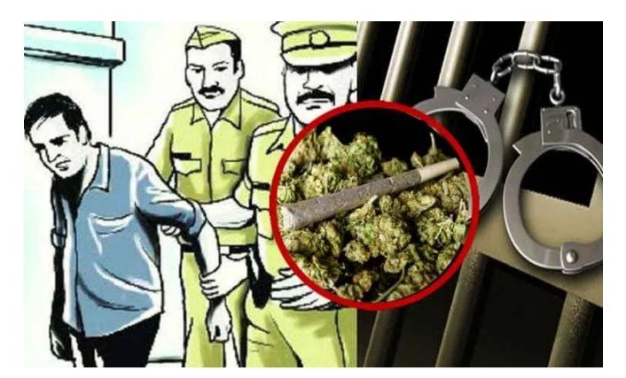 अंमली पदार्थ विक्रीसाठी आलेल्याकडून अडीच लाखांचा गांजा जप्त.