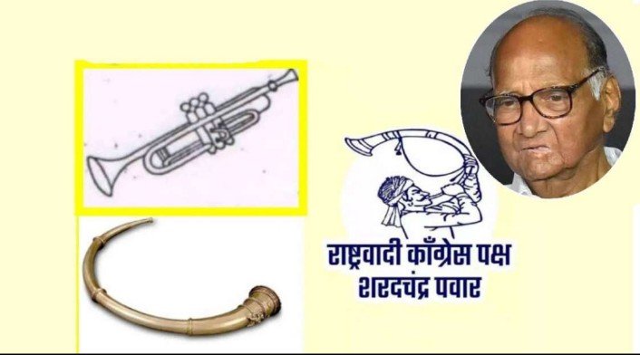 तुतारी आणि पिपाणी चिन्हांच्या घोळामध्ये राष्ट्रवादी शरद पवार गटाचे नऊ उमेदवार पडले.